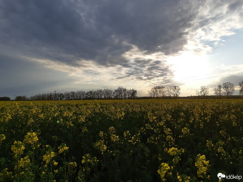 Észlelési fényképek