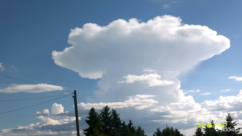 Észlelési fényképek