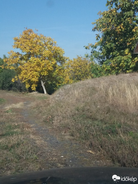 Észlelési fényképek