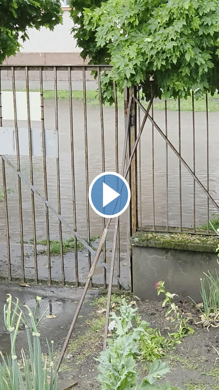 Videók és filmek