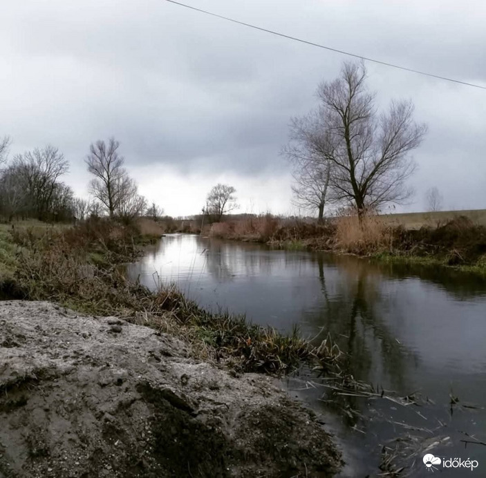 Természet