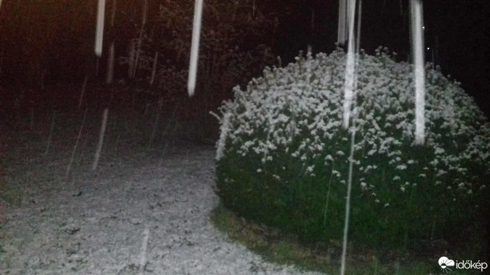 Észlelési fényképek