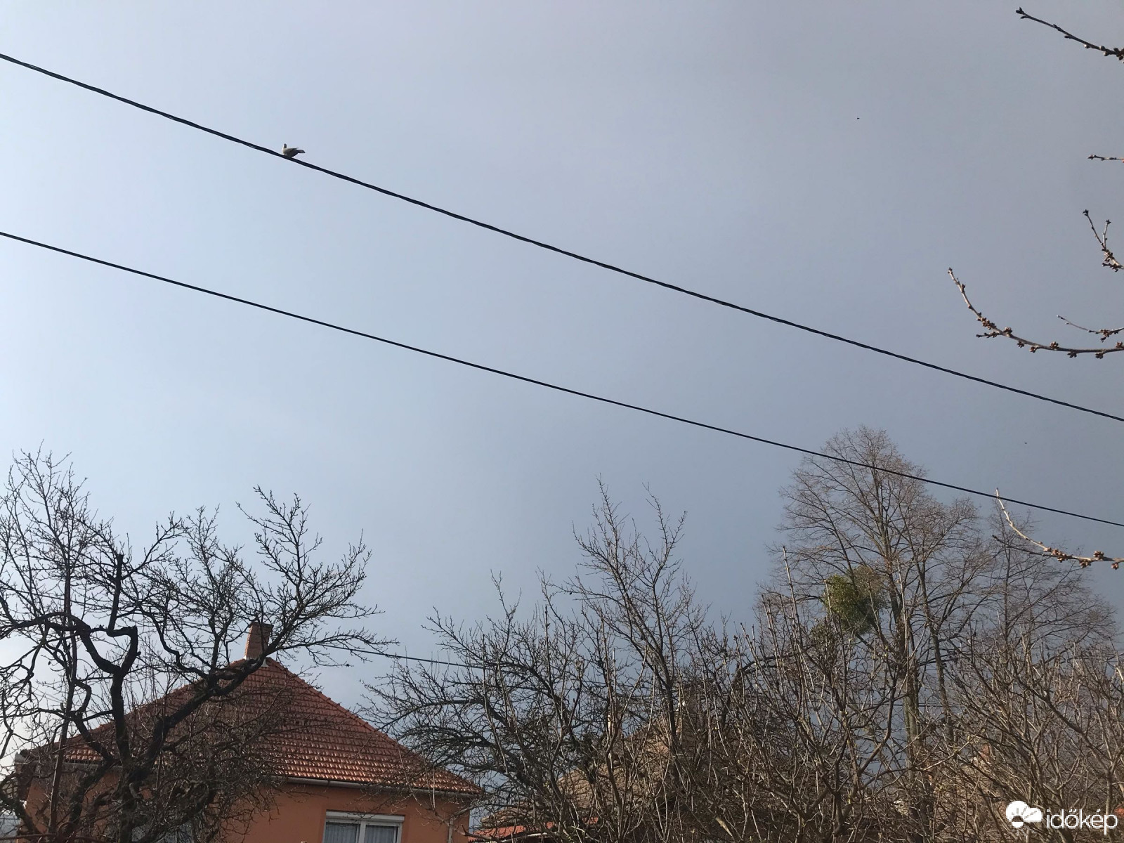 Észlelési fényképek