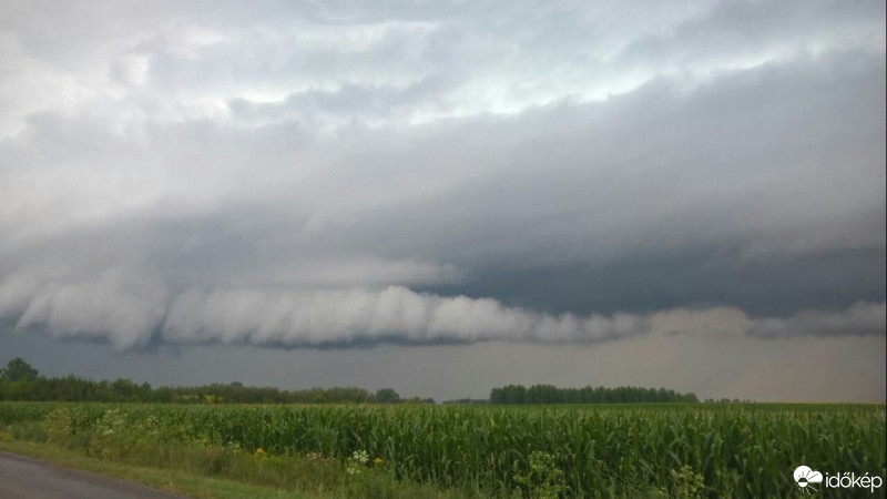 Észlelési fényképek