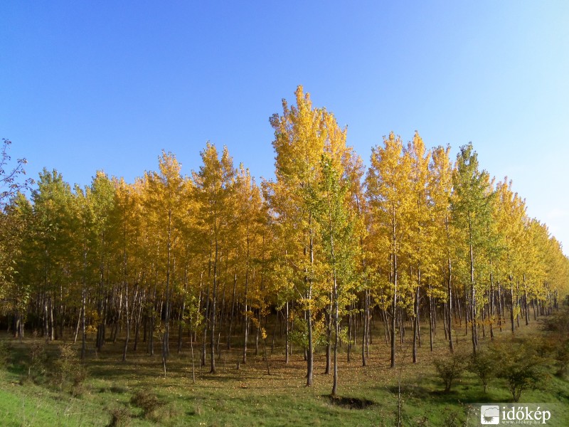 Észlelési fényképek