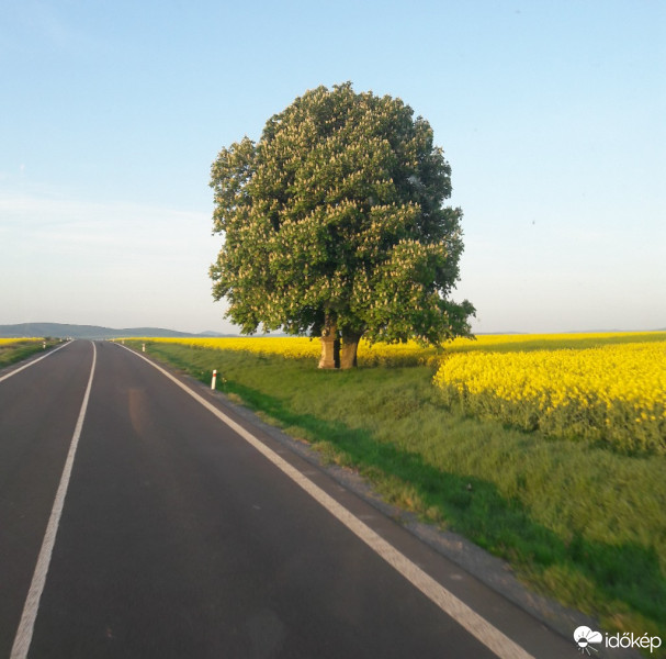 Észlelési fényképek