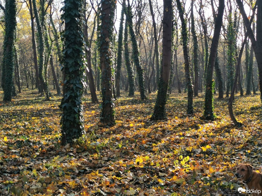 Budapest XIX.ker - Kispest