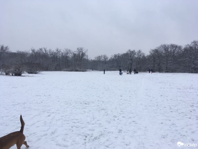 Budapest XIX.ker - Kispest