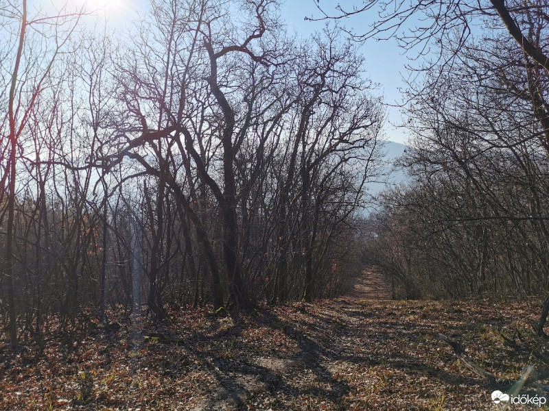 Budapest II.ker - Kurucles