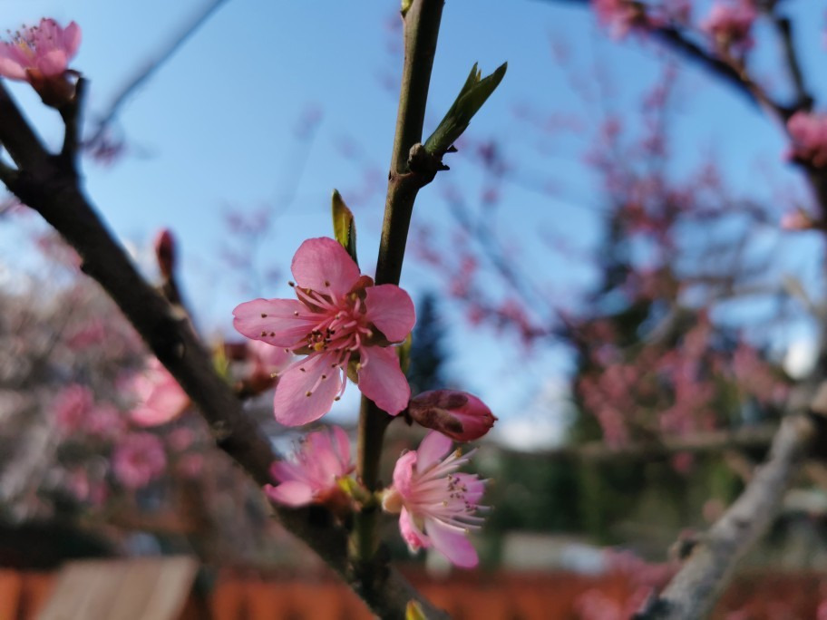 Budapest XIX.ker - Kispest
