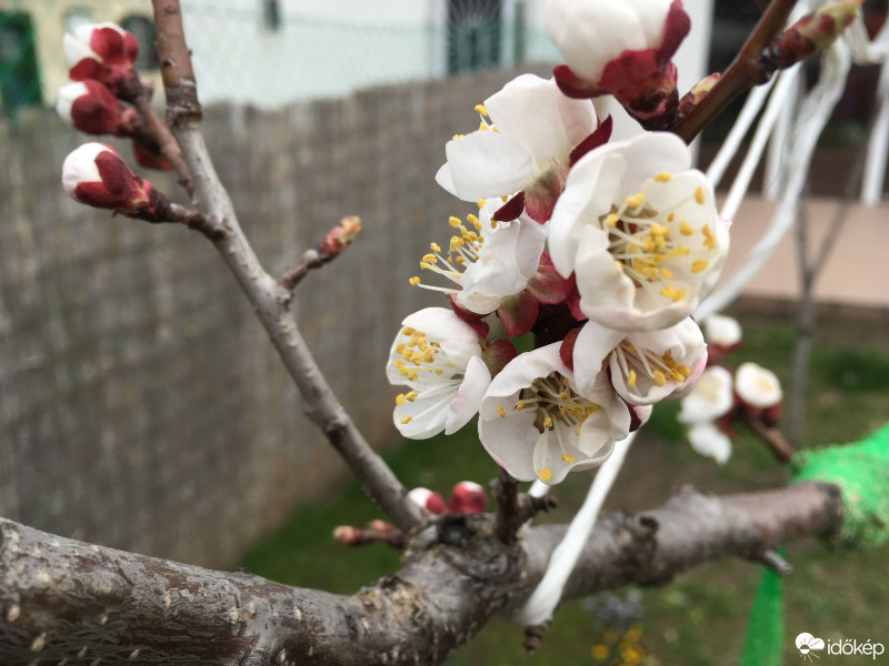 Budapest XIX.ker - Kispest