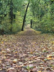 Budapest XIX.ker - Kispest