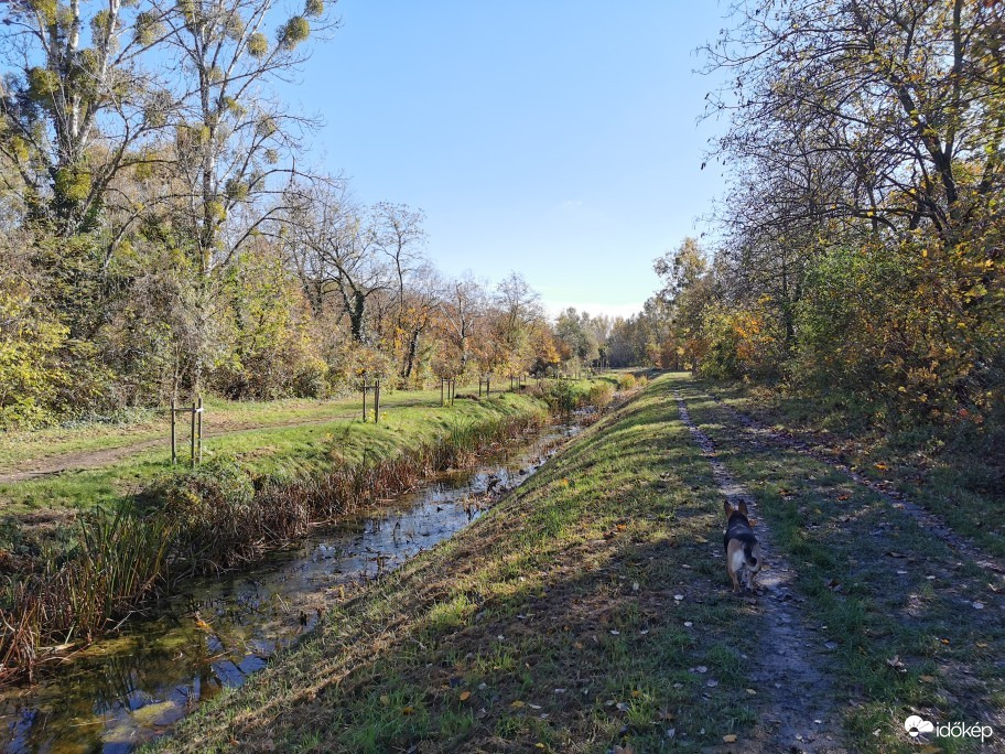 Budapest XX.ker - Pesterzsébet