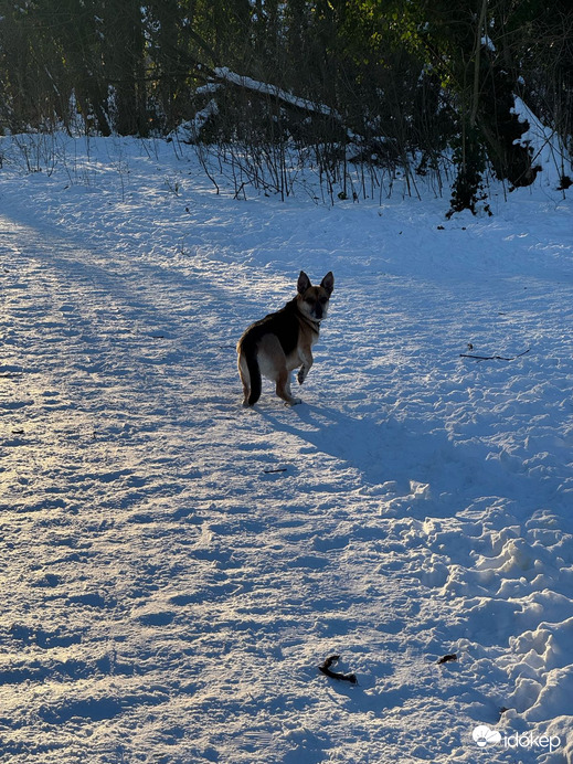 Budapest XIX.ker - Kispest
