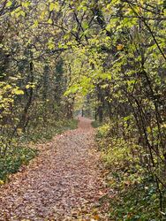 Budapest XIX.ker - Kispest