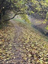 Budapest XIX.ker - Kispest