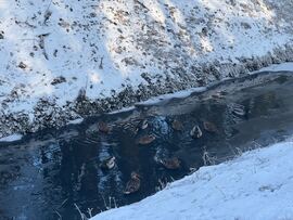 Budapest XIX.ker - Kispest