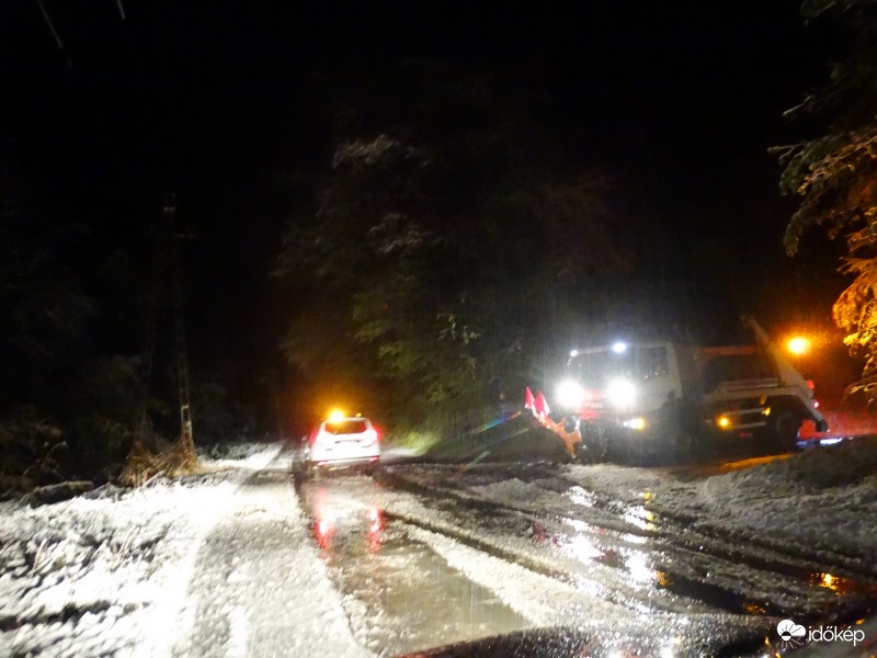 Hókotró a Bükkben