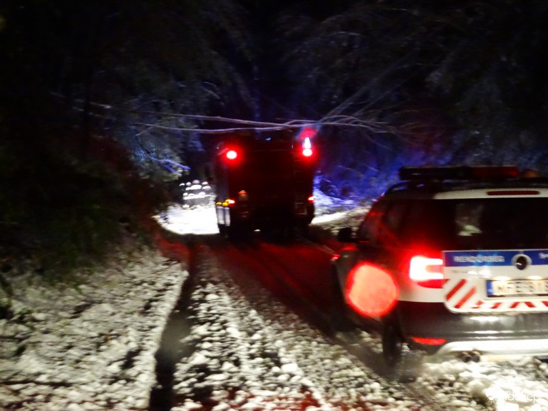 Tűzoltók vágják maguk előtt az útra dőlt fákat