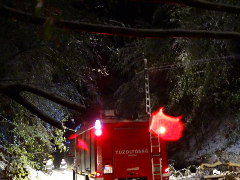 Tűzoltók vágják maguk előtt az útra dőlt fákat