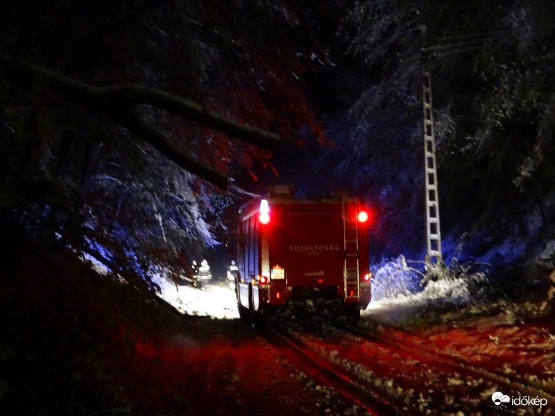 Tűzoltók vágják maguk előtt az útra dőlt fákat