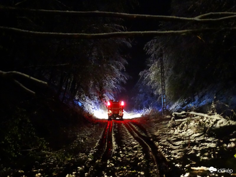 Tűzoltók vágják maguk előtt az útra dőlt fákat