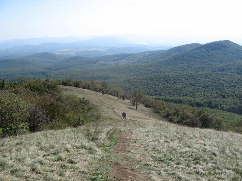 Kopasz hegy a Börzsönyben