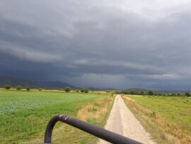Mikóháza