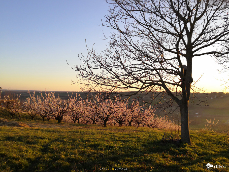 Észlelési fényképek