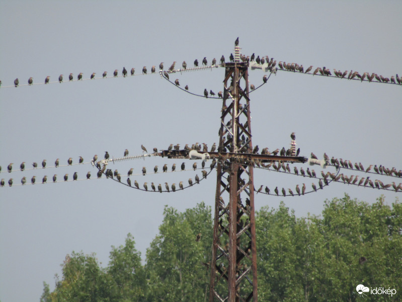 Veszélyben is tartjuk a szárny távolásot!