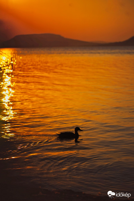 Balatonboglár