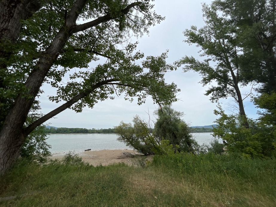 Dunakeszi