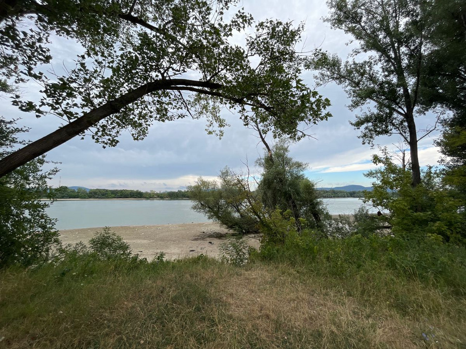 Dunakeszi