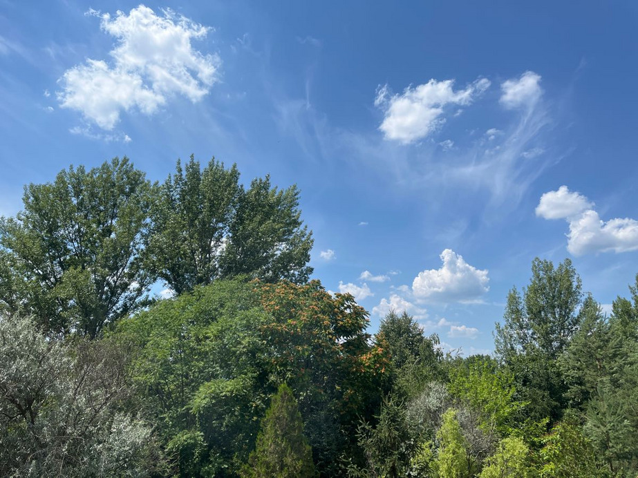Dunakeszi