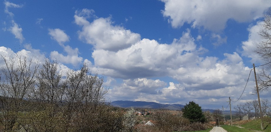 Harsány
