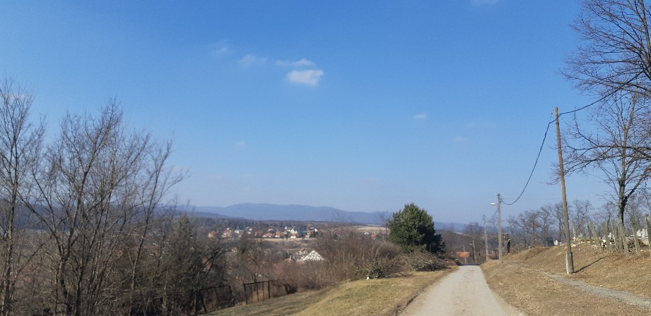Harsány