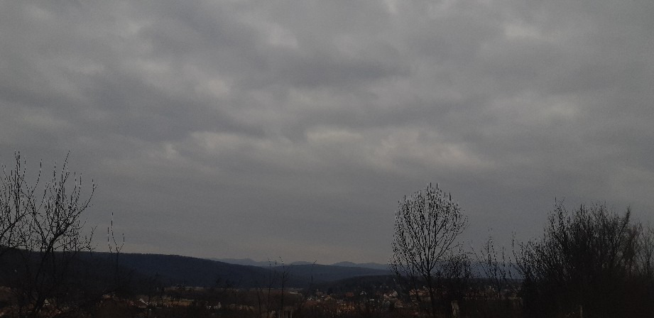 Harsány
