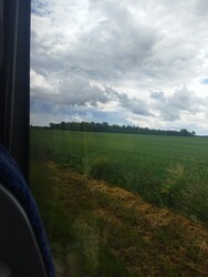 Mezőlak