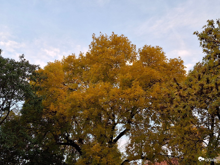 Semmi kétség megérkezett  az ősz. :)