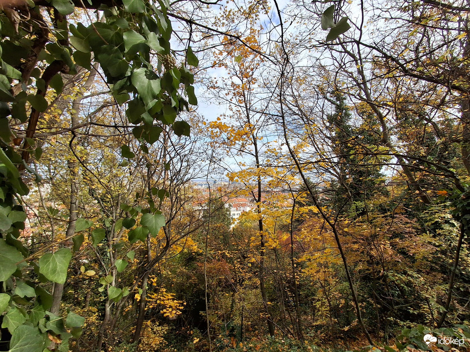 Séta az óriás virágok között