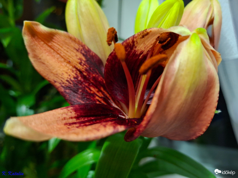 Útban a kiteljesedés felé. :)