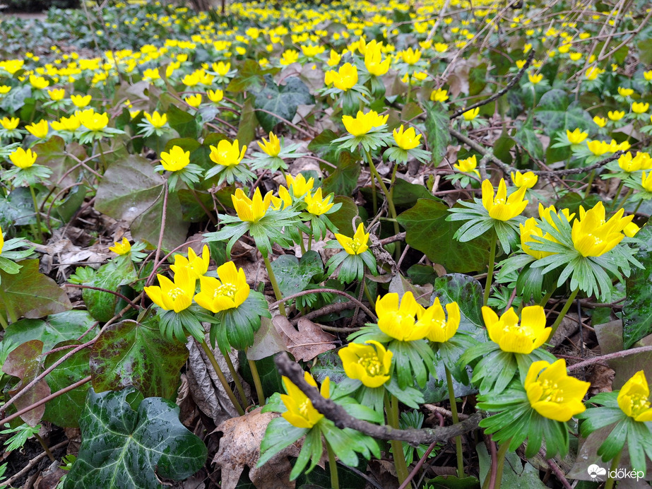 Lesz tél temetés, vagy  nem? 