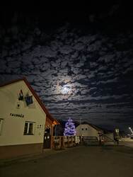 Éjszakai csendélet