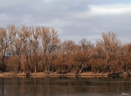 Kis Duna-ág a Dunakanyarban