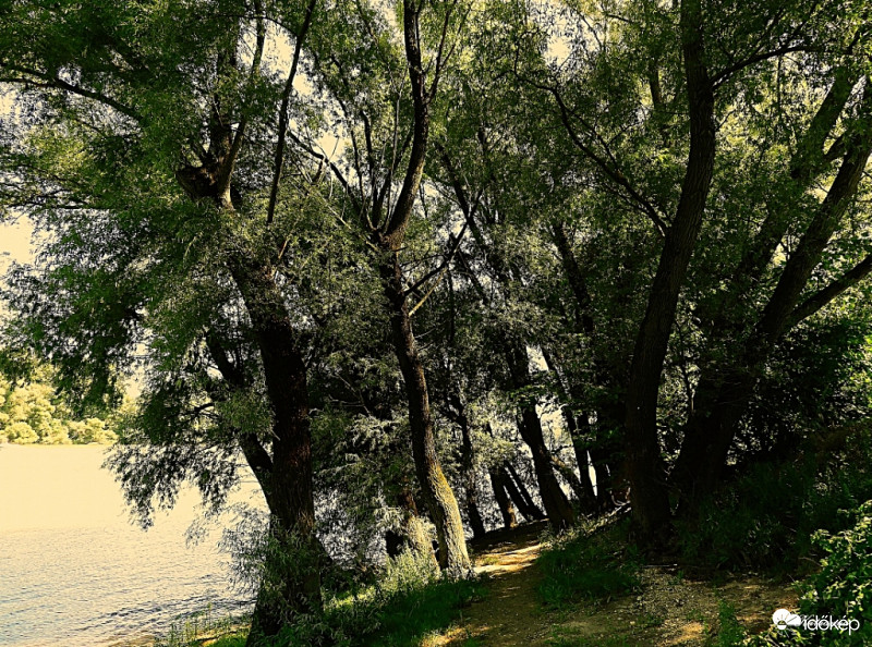 Délután a Dunánál