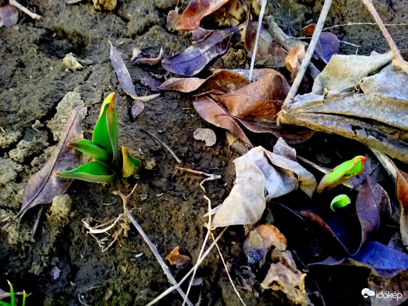 Öröm és bódogság 