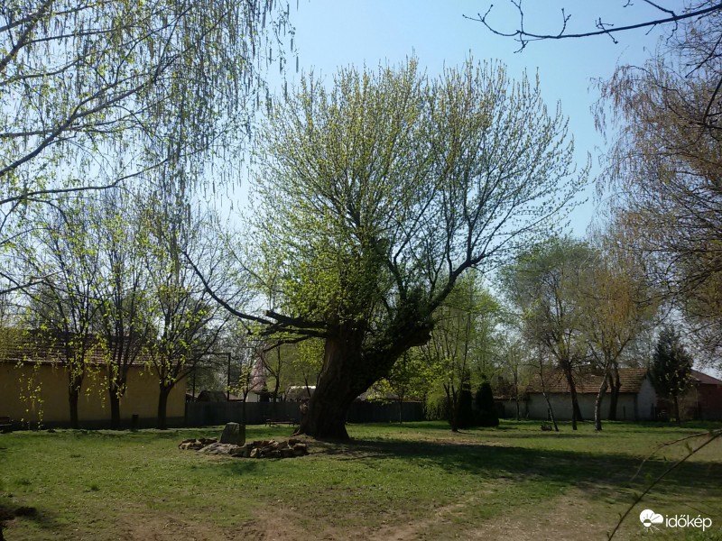 Jászság