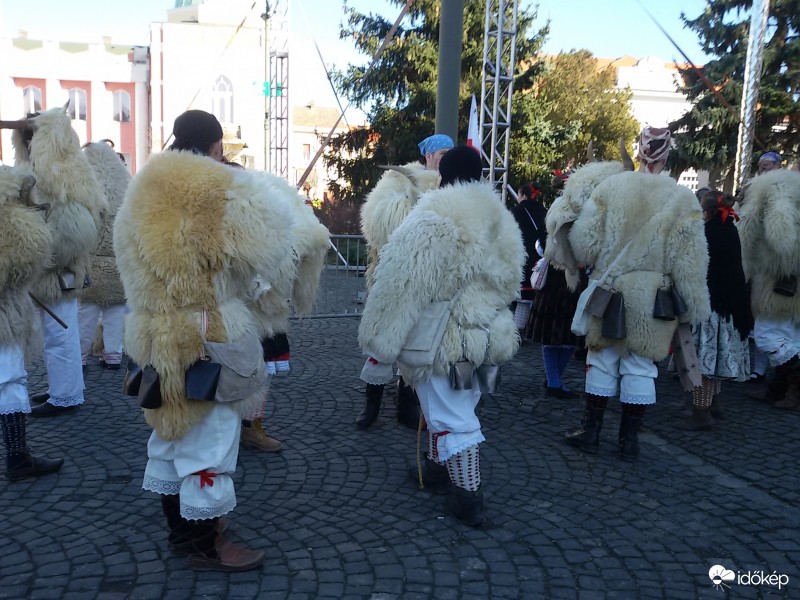 Álarc nélkül ( a szélfúvásban )