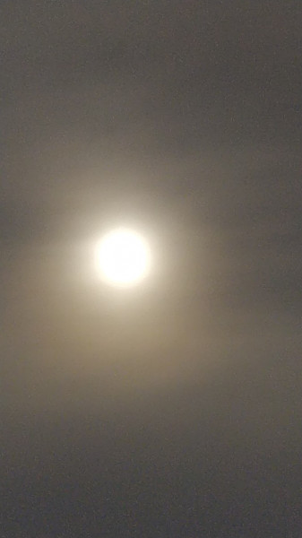 Hódmezővásárhely