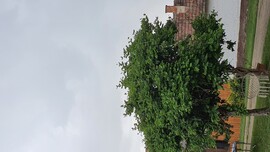 Gyomaendrőd